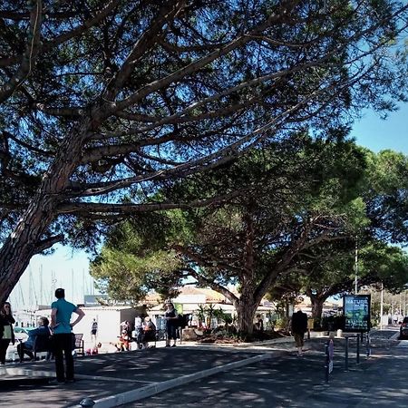 Le Jardin De La Plage - Linges Inclus La Londe-les-Maures Exteriör bild