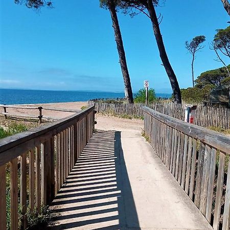 Le Jardin De La Plage - Linges Inclus La Londe-les-Maures Exteriör bild