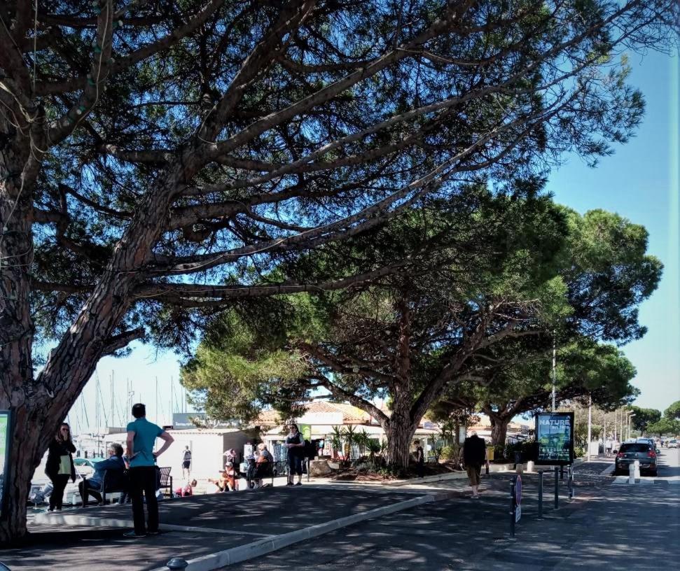 Le Jardin De La Plage - Linges Inclus La Londe-les-Maures Exteriör bild